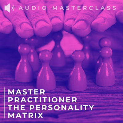 MASTER PRACTITIONER THE PERSONALITY MATRIX
