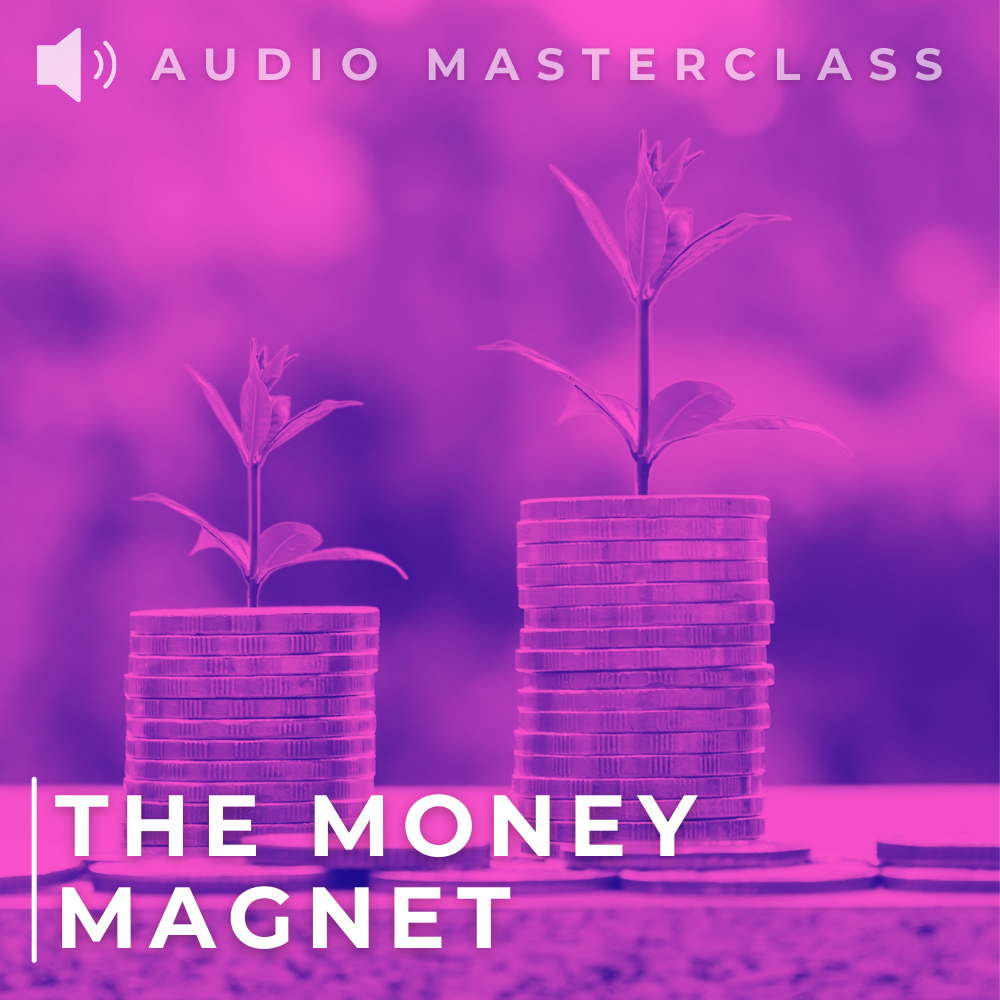 the_money_magnet